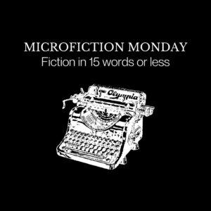 Image of typewriter and the words 'fiction in 15 words or less'