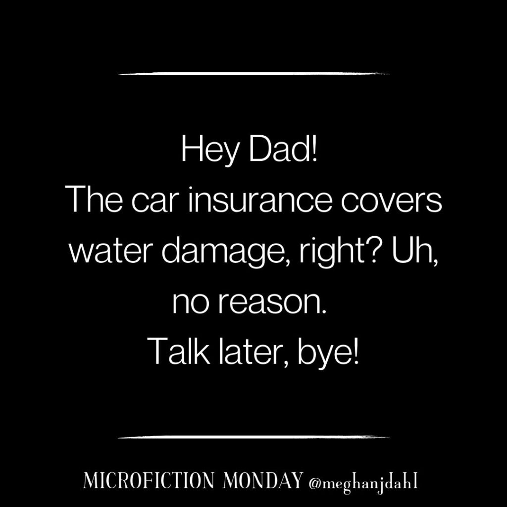 Hey Dad, The car insurance covers water damage, right? Uh, no reason. Talk later, bye!