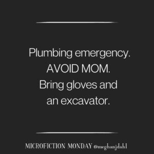 Plumbing Emergency. AVOID MOM. Bring gloves and an excavator.