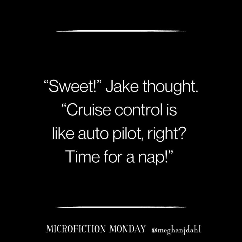 "Sweet!" Jake thought. "Cruise control is like auto pilot, right? Time for a nap!"