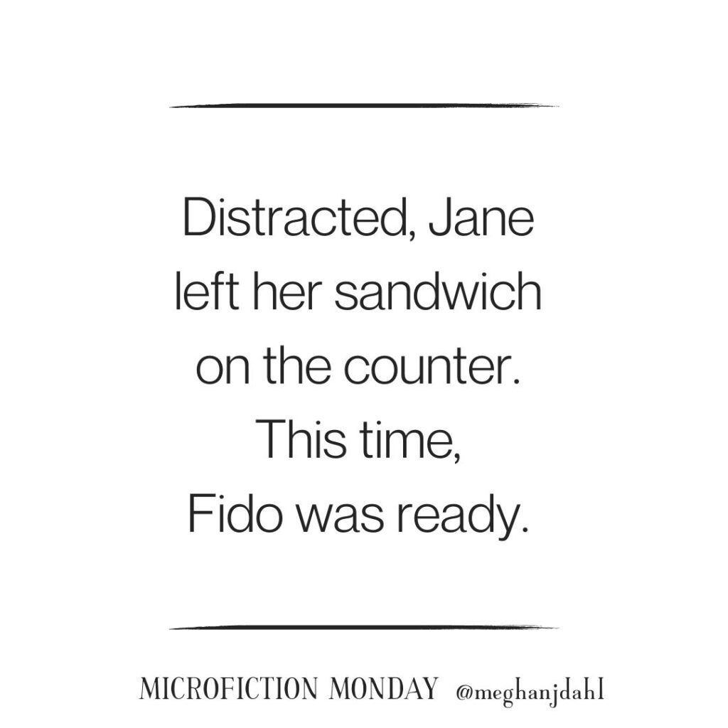 Distracted, Jane left her sandwich on the counter. This time, Fido was ready.