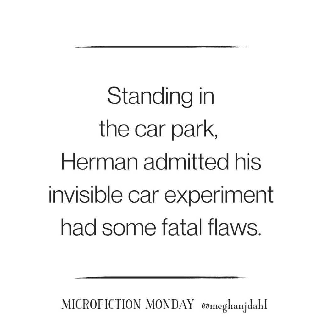 Text that reads: Standing in the car park, Herman admitted his invisible car experiment had some fatal flaws.